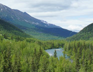 alaska tundra