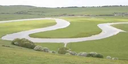 company Senior Instructor